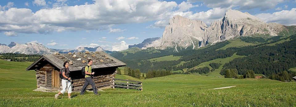Wieshof-Lajen-Bauernhof-Natur-Wiesen-Waelder-Hochplateau-Eisacktal-Suedtirol2